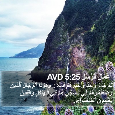 أَعْمَالُ ٱلرُّسُلِ 5:25 AVD Bible Verse Image