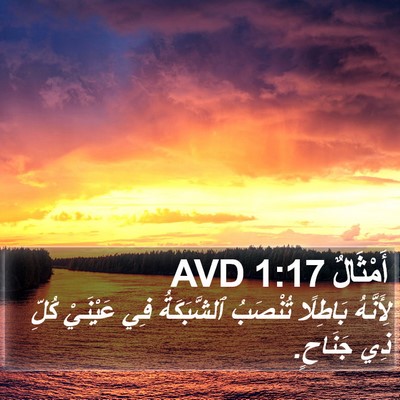 أَمْثَالٌ 1:17 AVD Bible Verse Image