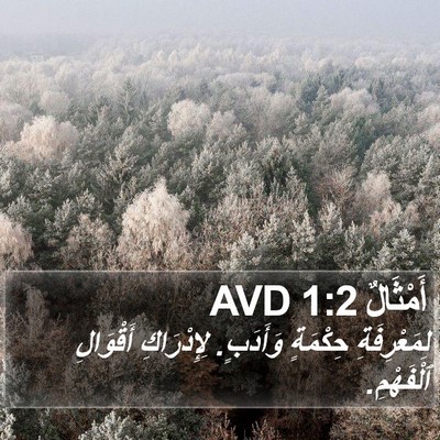 أَمْثَالٌ 1:2 AVD Bible Verse Image