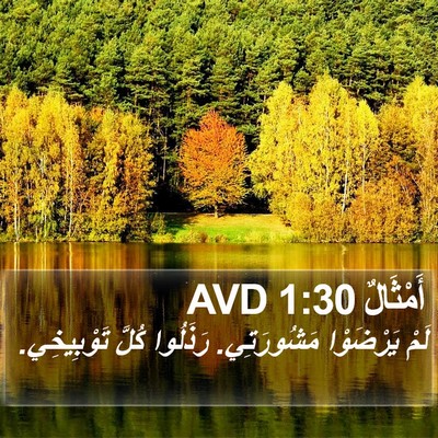 أَمْثَالٌ 1:30 AVD Bible Verse Image