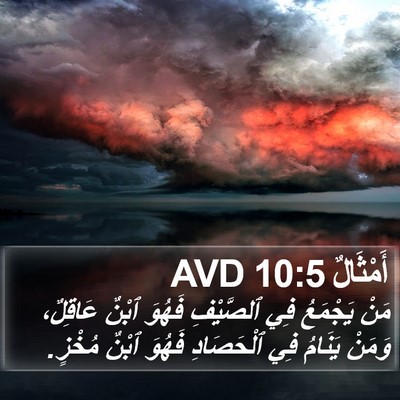 أَمْثَالٌ 10:5 AVD Bible Verse Image