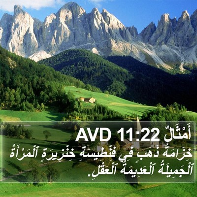 أَمْثَالٌ 11:22 AVD Bible Verse Image