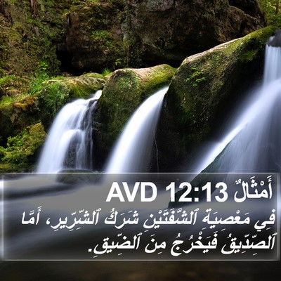 أَمْثَالٌ 12:13 AVD Bible Verse Image
