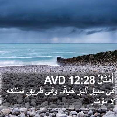 أَمْثَالٌ 12:28 AVD Bible Verse Image