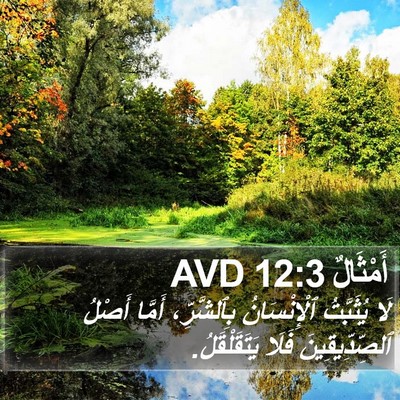 أَمْثَالٌ 12:3 AVD Bible Verse Image