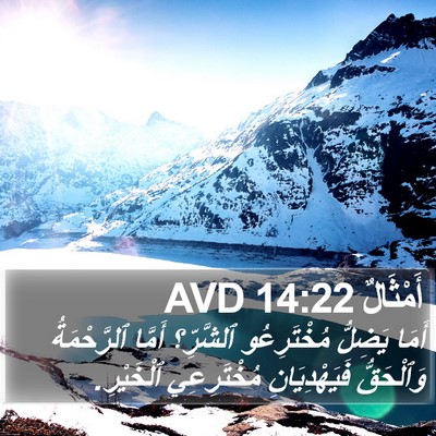 أَمْثَالٌ 14:22 AVD Bible Verse Image