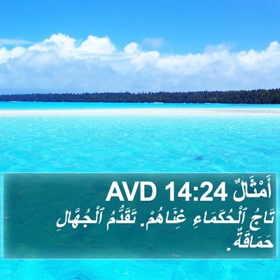 أَمْثَالٌ 14:24 AVD Bible Verse Image