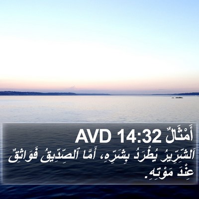 أَمْثَالٌ 14:32 AVD Bible Verse Image