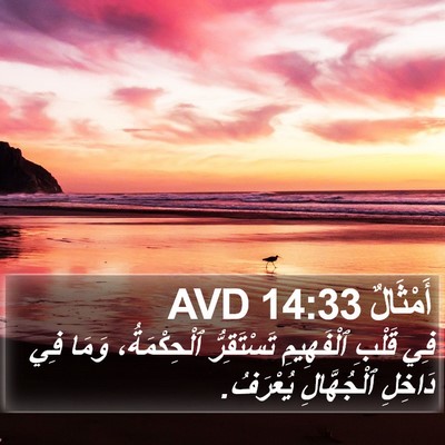 أَمْثَالٌ 14:33 AVD Bible Verse Image