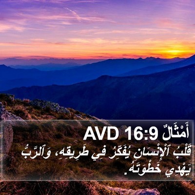 أَمْثَالٌ 16:9 AVD Bible Verse Image