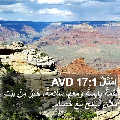 أَمْثَالٌ 17:1 AVD Bible Verse Image