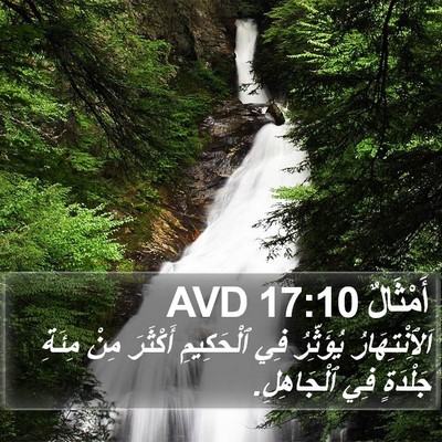 أَمْثَالٌ 17:10 AVD Bible Verse Image