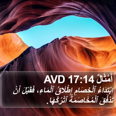 أَمْثَالٌ 17:14 AVD Bible Verse Image