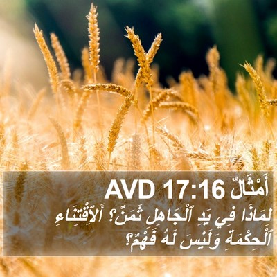 أَمْثَالٌ 17:16 AVD Bible Verse Image