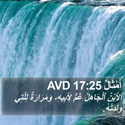 أَمْثَالٌ 17:25 AVD Bible Verse Image