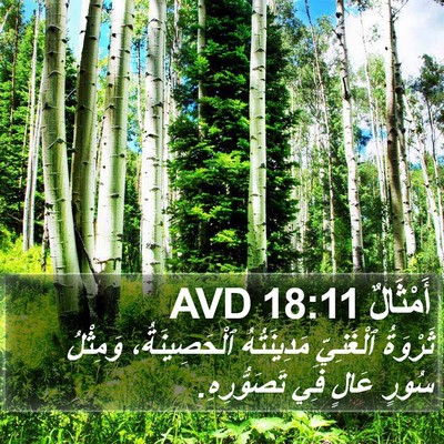 أَمْثَالٌ 18:11 AVD Bible Verse Image