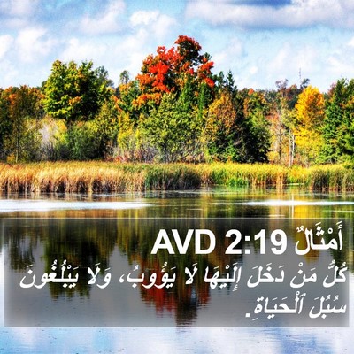 أَمْثَالٌ 2:19 AVD Bible Verse Image