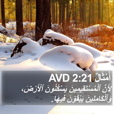 أَمْثَالٌ 2:21 AVD Bible Verse Image