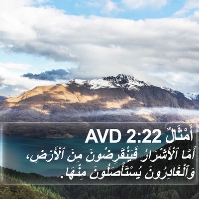 أَمْثَالٌ 2:22 AVD Bible Verse Image