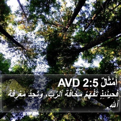 أَمْثَالٌ 2:5 AVD Bible Verse Image