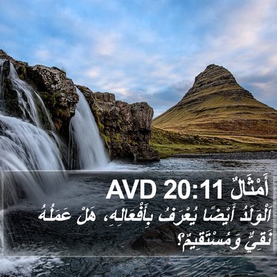أَمْثَالٌ 20:11 AVD Bible Verse Image