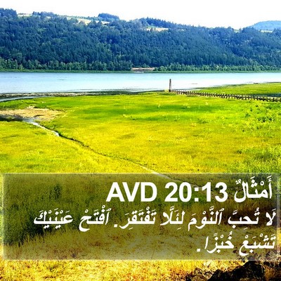 أَمْثَالٌ 20:13 AVD Bible Verse Image