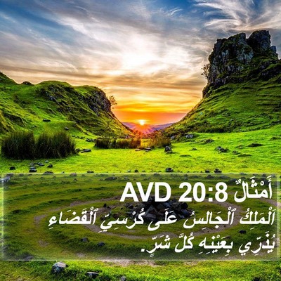 أَمْثَالٌ 20:8 AVD Bible Verse Image