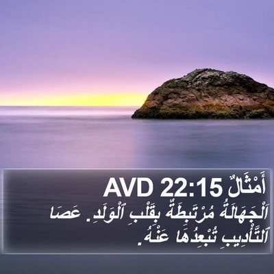 أَمْثَالٌ 22:15 AVD Bible Verse Image