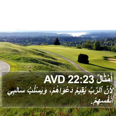 أَمْثَالٌ 22:23 AVD Bible Verse Image
