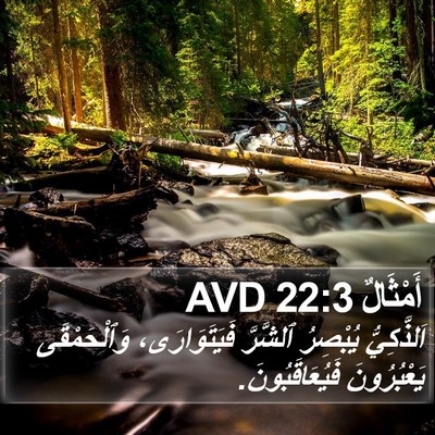 أَمْثَالٌ 22:3 AVD Bible Verse Image
