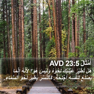 أَمْثَالٌ 23:5 AVD Bible Verse Image