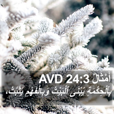 أَمْثَالٌ 24:3 AVD Bible Verse Image