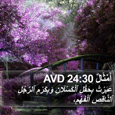 أَمْثَالٌ 24:30 AVD Bible Verse Image