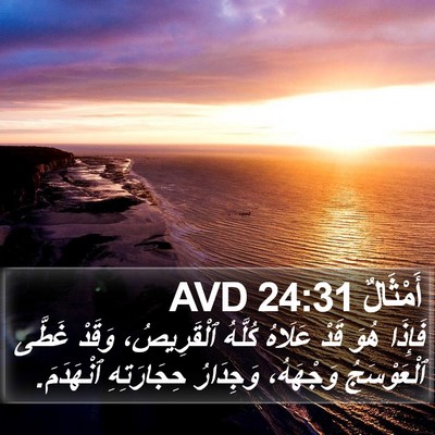 أَمْثَالٌ 24:31 AVD Bible Verse Image