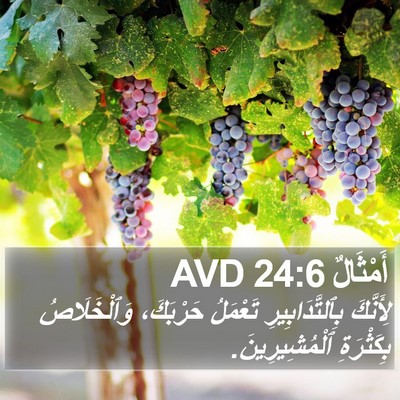 أَمْثَالٌ 24:6 AVD Bible Verse Image