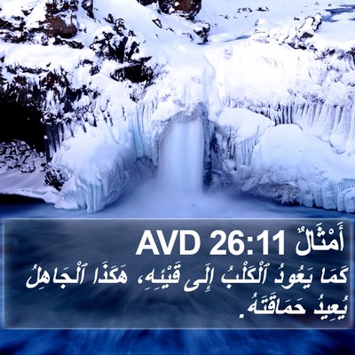 أَمْثَالٌ 26:11 AVD Bible Verse Image