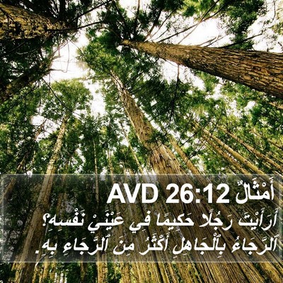 أَمْثَالٌ 26:12 AVD Bible Verse Image