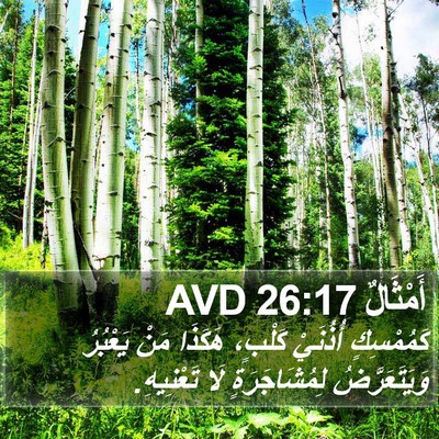 أَمْثَالٌ 26:17 AVD Bible Verse Image