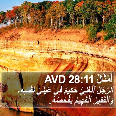 أَمْثَالٌ 28:11 AVD Bible Verse Image