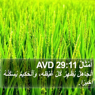 أَمْثَالٌ 29:11 AVD Bible Verse Image