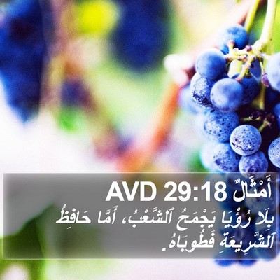 أَمْثَالٌ 29:18 AVD Bible Verse Image