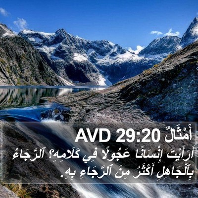 أَمْثَالٌ 29:20 AVD Bible Verse Image