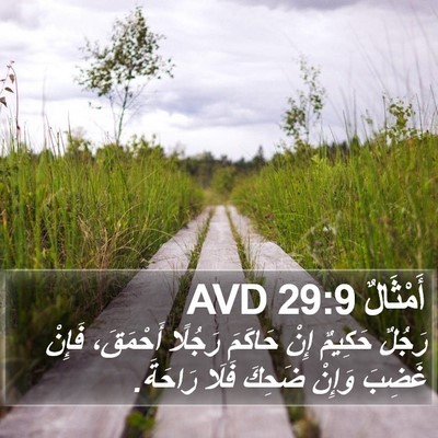 أَمْثَالٌ 29:9 AVD Bible Verse Image