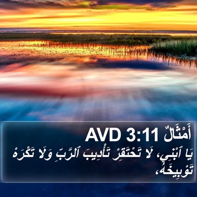 أَمْثَالٌ 3:11 AVD Bible Verse Image