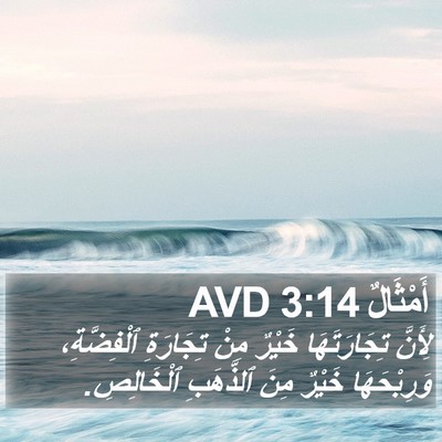 أَمْثَالٌ 3:14 AVD Bible Verse Image