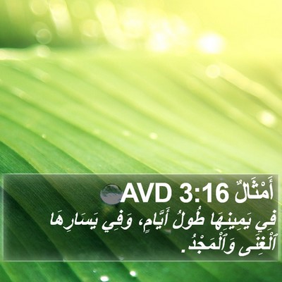 أَمْثَالٌ 3:16 AVD Bible Verse Image