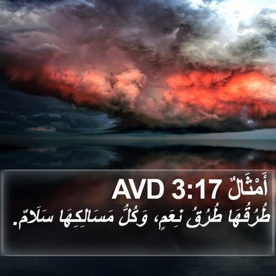 أَمْثَالٌ 3:17 AVD Bible Verse Image
