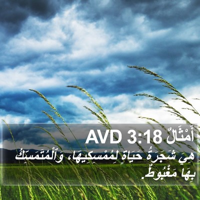 أَمْثَالٌ 3:18 AVD Bible Verse Image