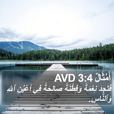 أَمْثَالٌ 3:4 AVD Bible Verse Image