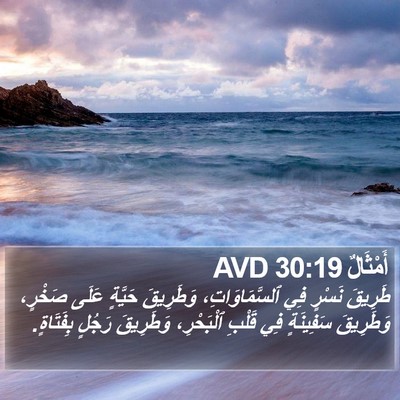 أَمْثَالٌ 30:19 AVD Bible Verse Image